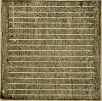 An illustration from Steiger's kindergarten catalogue (1900)