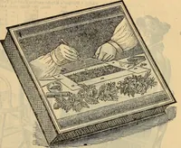 An illustration from Steiger's kindergarten catalogue (1900)