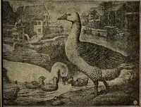 An illustration from Steiger's kindergarten catalogue (1900)
