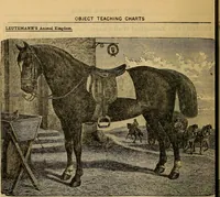 Picture 53 of 81 from Steiger's kindergarten catalogue (1900), leaf 93