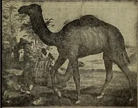 An illustration from Steiger's kindergarten catalogue (1900)
