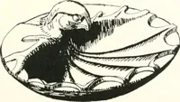 Picture 5 of 11 from Steingefässe (1904), leaf 62