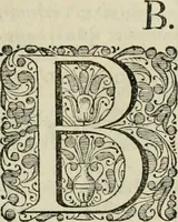 An illustration from Stephanos Peri poleon = Stephanus De urbibus (1678)