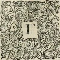 Picture 11 of 59 from Stephanos Peri poleon = Stephanus De urbibus (1678), leaf 215