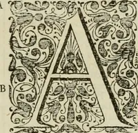 Picture 8 of 59 from Stephanos Peri poleon = Stephanus De urbibus (1678), leaf 26