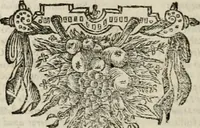 An illustration from Stephanos Peri poleon = Stephanus De urbibus (1678)