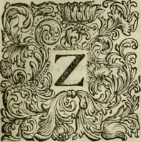 Picture 18 of 59 from Stephanos Peri poleon = Stephanus De urbibus (1678), leaf 310