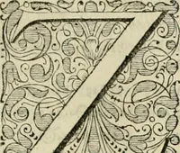 Picture 19 of 59 from Stephanos Peri poleon = Stephanus De urbibus (1678), leaf 310