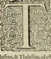 An illustration from Stephanos Peri poleon = Stephanus De urbibus (1678)
