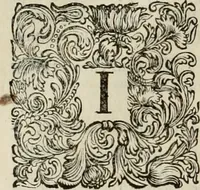 Picture 24 of 59 from Stephanos Peri poleon = Stephanus De urbibus (1678), leaf 341