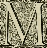 Picture 31 of 59 from Stephanos Peri poleon = Stephanus De urbibus (1678), leaf 458
