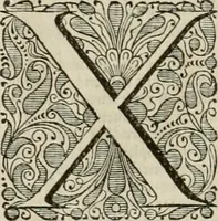 Picture 35 of 59 from Stephanos Peri poleon = Stephanus De urbibus (1678), leaf 527
