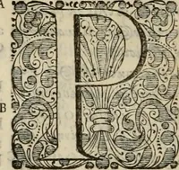 An illustration from Stephanos Peri poleon = Stephanus De urbibus (1678)