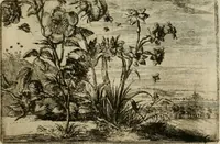 Picture 1 of 59 from Stephanos Peri poleon = Stephanus De urbibus (1678), leaf 6