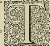 Picture 43 of 59 from Stephanos Peri poleon = Stephanus De urbibus (1678), leaf 654