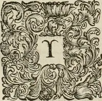 Picture 44 of 59 from Stephanos Peri poleon = Stephanus De urbibus (1678), leaf 699