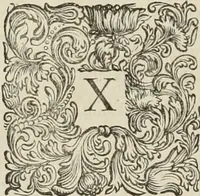 Picture 47 of 59 from Stephanos Peri poleon = Stephanus De urbibus (1678), leaf 733