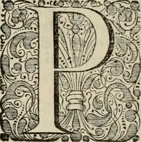 Picture 49 of 59 from Stephanos Peri poleon = Stephanus De urbibus (1678), leaf 751