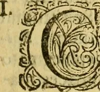 An illustration from Steph. Blancardi Anatomia reformata, sive, Concinna corporis humani : dissectio, ad neotericorum mentem adornata, plurimisque tabulis chalcographicis illustrata : accedit ejusdem authoris be balsamatione, nova methodus, à nemine antehac hoc modo descripta (1687)
