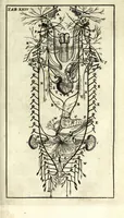 An illustration from Steph. Blancardi Anatomia reformata, sive, Concinna corporis humani dissectio, ad neotericorum mentem adornata ... : accedit ejusdem authoris De balsamatione nova methodus, à nemine antehac similiter descripta (1695)