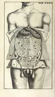 An illustration from Steph. Blancardi Anatomia reformata, sive, Concinna corporis humani dissectio, ad neotericorum mentem adornata ... : accedit ejusdem authoris De balsamatione nova methodus, à nemine antehac similiter descripta (1695)