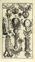 An illustration from Steph. Blancardi Anatomia reformata, sive, Concinna corporis humani dissectio, ad neotericorum mentem adornata ... : accedit ejusdem authoris De balsamatione nova methodus, à nemine antehac similiter descripta (1695)
