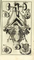 An illustration from Steph. Blancardi Anatomia reformata, sive, Concinna corporis humani dissectio, ad neotericorum mentem adornata ... : accedit ejusdem authoris De balsamatione nova methodus, à nemine antehac similiter descripta (1695)