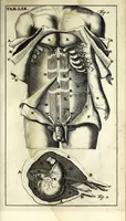 An illustration from Steph. Blancardi Anatomia reformata, sive, Concinna corporis humani dissectio, ad neotericorum mentem adornata ... : accedit ejusdem authoris De balsamatione nova methodus, à nemine antehac similiter descripta (1695)