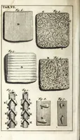 An illustration from Steph. Blancardi Anatomia reformata, sive, Concinna corporis humani dissectio, ad neotericorum mentem adornata ... : accedit ejusdem authoris De balsamatione nova methodus, à nemine antehac similiter descripta (1695)