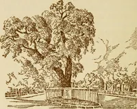 An illustration from Stephen Daye and his successors; the establishment of a printing plant in what was formerly British North America and the development of the art of printing at the University Press, of Cambridge, Massachusetts. 1639-1921 (1921)