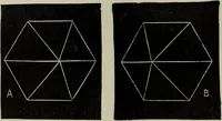 Picture 5 of 95 from The stereoscope and stereoscopic photography (1890), leaf 21