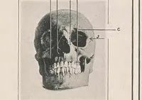 Picture 5 of 9 from The Stereoscopic photograph (1901), leaf 48