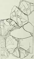 Picture 128 of 134 from Östergötland. Àv Andreas Lindblom (1921), leaf 187