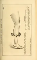 Picture 6 of 13 from The Stethoscope : a monthly journal of medicine and the collateral sciences (1854), leaf 337