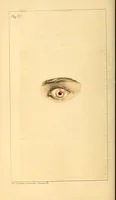 An illustration from The Stethoscope : a monthly journal of medicine and the collateral sciences (1854)