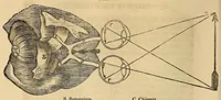 Picture 1 of 4 from The Stethoscope and Virginia medical gazette (1851), leaf 154