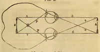 An illustration from The Stethoscope and Virginia medical gazette (1851)