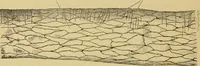 An illustration from Sthohr's histology : arranged upon an embroyological basis (1906)