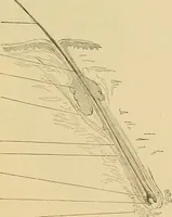 An illustration from Sthohr's histology : arranged upon an embroyological basis (1906)
