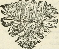 An illustration from Stichtelyke rymen op verscheiden stoffen : waar van ontrent de helft nooit voor-deesen gedrukt zijn : hier in order gestelt in twee deelen (1700)