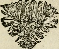 An illustration from Stichtelyke rymen op verscheiden stoffen : waar van ontrent de helft nooit voor-deesen gedrukt zijn : hier in order gestelt in twee deelen (1700)