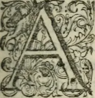 An illustration from Stichtelyke rymen op verscheiden stoffen : waar van ontrent de helft nooit voor-deesen gedrukt zijn : hier in order gestelt in twee deelen (1700)