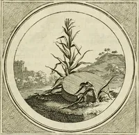 Picture 25 of 59 from Stichtelyke zinnebeelden : gepast of deugden en ondeugden, in LVII tafereelen vertoond (1767), leaf 114