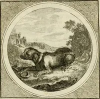 Picture 35 of 59 from Stichtelyke zinnebeelden : gepast of deugden en ondeugden, in LVII tafereelen vertoond (1767), leaf 156