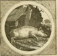 An illustration from Stichtelyke zinnebeelden : gepast of deugden en ondeugden, in LVII tafereelen vertoond (1767)