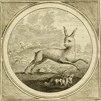 An illustration from Stichtelyke zinnebeelden : gepast of deugden en ondeugden, in LVII tafereelen vertoond (1767)