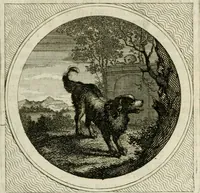 Picture 11 of 59 from Stichtelyke zinnebeelden : gepast of deugden en ondeugden, in LVII tafereelen vertoond (1767), leaf 50