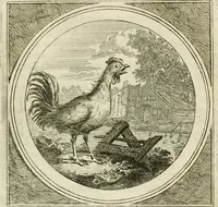 An illustration from Stichtelyke zinnebeelden : gepast of deugden en ondeugden, in LVII tafereelen vertoond (1767)
