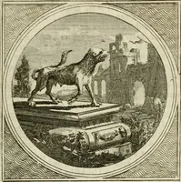 Picture 19 of 59 from Stichtelyke zinnebeelden : gepast of deugden en ondeugden, in LVII tafereelen vertoond (1767), leaf 84