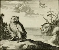 An illustration from Stichtelyke zinnebeelden, en Bybel-stoffen (1740)